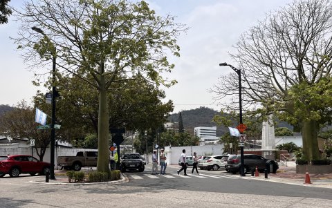 Limpieza. Mientras colocan las banderas en la parte alta de los postes, la líder de la comunidad de Los Ceibos aprovecha para recolectar la basura que está en las calles. La zona siempre luce limpia.