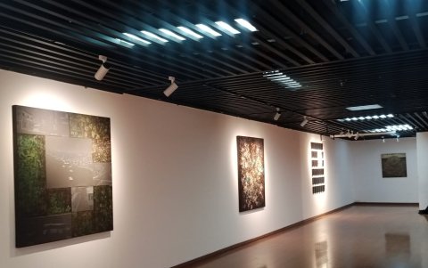 Las propuestas muestran nuevas técnicas y estilo en pintura