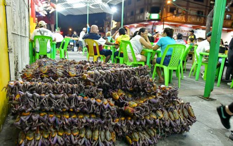 En la calle Los Ríos se puede ver a los crustáceos antes de ser cocinados