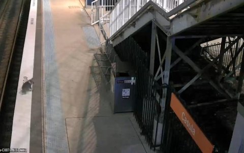 En la imagen se ve al animal subir y bajar las escaleras para cambiar de andén e incluso esperar al ascensor.