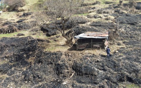Las marcas de las áreas verdes quemadas aún se sienten en el barrio Bolaños. El olor persiste en el ambiente.