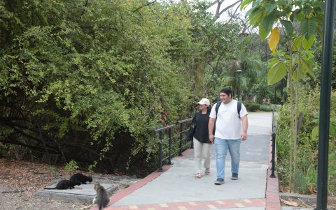 En el parque lineal, la comunidad ha encontrado un espacio de recreación, pero poniendo en riesgo el ecosistema.
