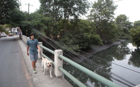 El cemento toma contacto con el manglar, con puentes y estructuras levantadas sobre el ecosistema.
