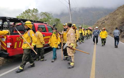 Un total de 25 movilizaciones de bomberos se realizaron a nivel nacional por incendios forestales.