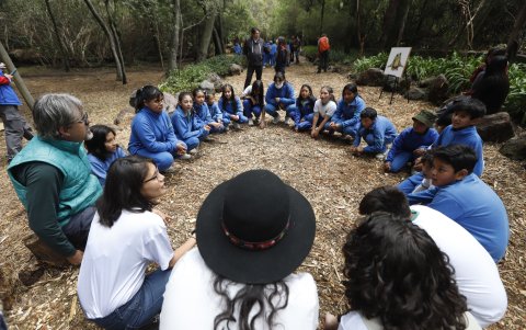 Educación. 60 niños y niñas participaron de la actividad en el parque.
