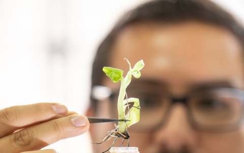 Universidades avanzan en investigación científica con pocos recursos