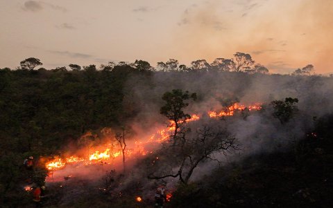 Un incendio forestal en la Reserva Ecológica Contagem, el 24 de septiembre de 2024, en Brasilia (Brasil).