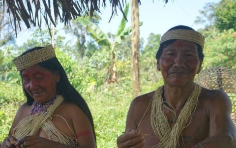 Los waoranis estan ubicado entre Pastaza, Napo y Orellana.