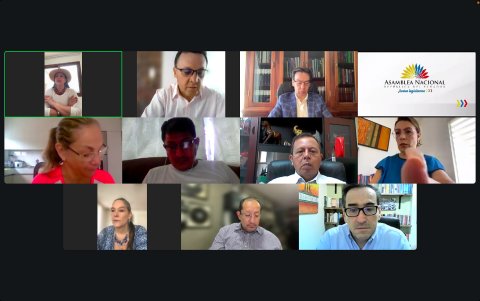 El debate del primer informe del proyecto de ley se realizó de manera virtual.