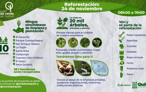 Estos son los sectores donde se va a realizar el plan de reforestación tras los incendios forestales