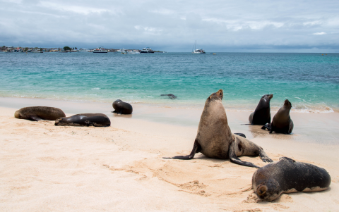 Galápagos será uno de los nuevos destinos donde los cuencanos podrán viajar de forma directa.
