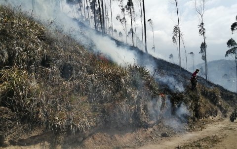 Decenas de hectáreas se han visto afectadas en Ambato