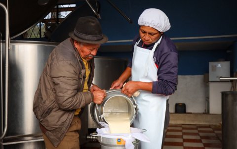 Producción. Personas que se dedican a extraer la leche.