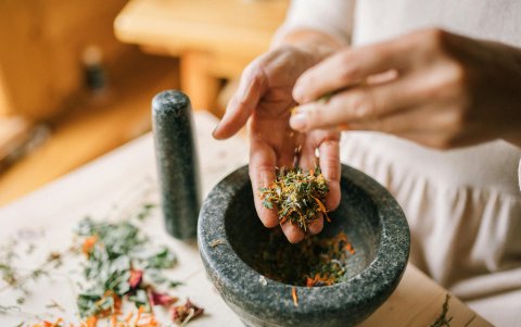 El objetivo del encuentro es reivindicar la conexión entre la medicina tradicional y la científica