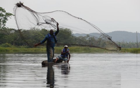 Un pescador lanza una atarraya en algún punto de la geografía amazónica peruana.
