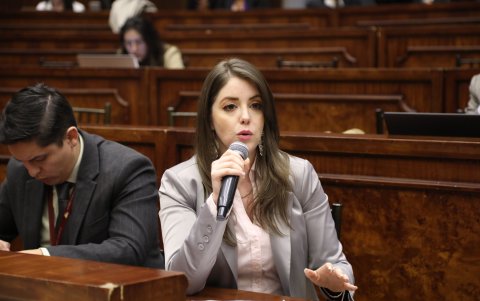 La asambleísta Mónica Palacios en una intervención en un área del legislativo.