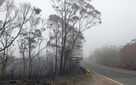 Fotografía cedida por la Organización de Investigación Científica e Industrial del Commonwealth de árboles quemados tras un incendio forestal.