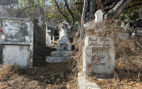 Lápidas descuidadas y en medio de matorrales, al fondo de la puerta 10.