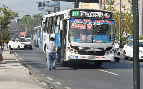 Popular. El sector transportista señala que algunos pedidos del Cabildo no son aplicables en las actuales unidades.