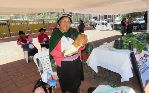 El cuy fue ofertado, tanto en pie como procesado, por diversos comuneros a los asistentes a la feria.