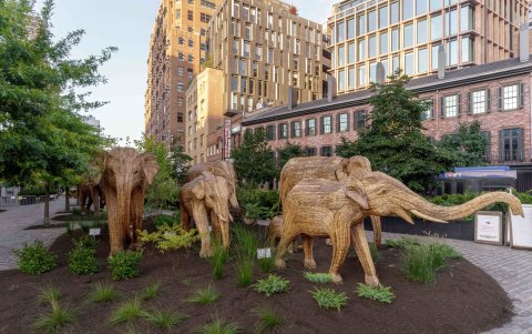 Se trata de poblaciones que han encontrado formas de vivir junto a leones, leopardos, elefantes