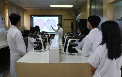 Asignaturas orientadas a la salud y bienestar de los animales de producción y compañía.