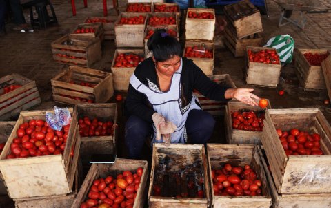 La productora Damaris Macías de 48 años, mostrando el producto que se le ha dañado en los últimos días en su punto de venta en un mercado en Cochabamba (Bolivia).