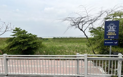 Samborondón. En las condiciones actuales de la obra, no puede funcionar como muelle. Por esa maleza los pescadores deben sacar sus canoas.