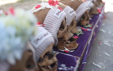 Los cráneos humanos o