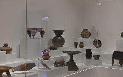 Hace un año, la intervención pasó de 23 a un centenar de piezas de la reserva para descubrir los restos de almidón.