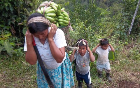 La organización beneficia a la comunidad Awua.