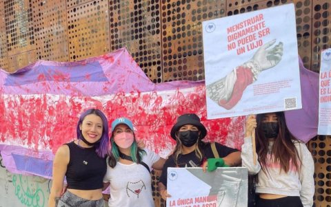 Foto cedida por la organización 'La mancha de Chile', que muestra a sus integrantes durante una manifestación en Santiago (Chile).