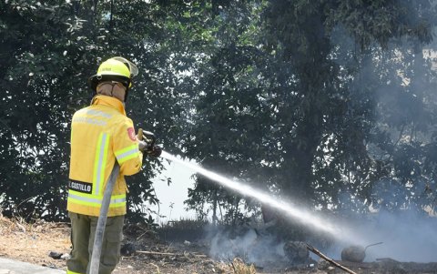 Incendio cerca del manglar que se levanta en un tramo de la avenida Barcelona.