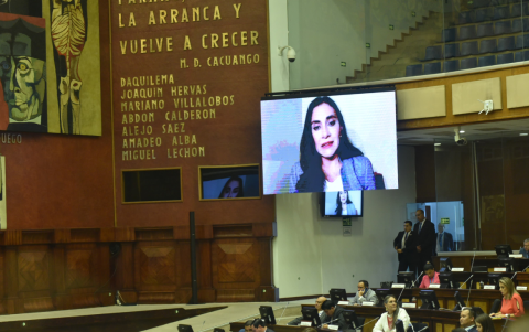 Verónica Abad, vía online, en la Asamblea Nacional.