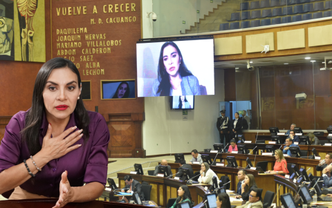 Verónica Abad habló con la Asamblea Nacional de forma telemática.