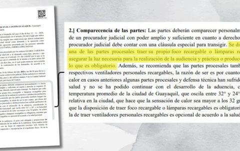 El juez justifica el pedido en inconvenientes presentados en anteriores audiencias.