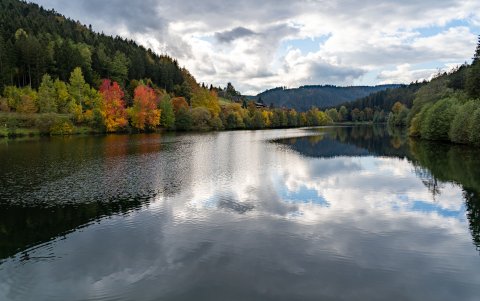 Parque Nacional de la Selva Negra (Alemania),  otro de los tesoros de Europa.