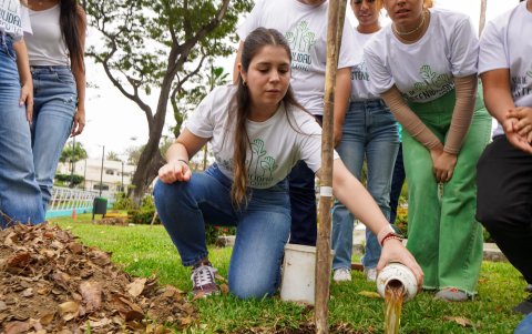 La metodología se basa en dirigir al estudiante hacia la conciencia ambiental.