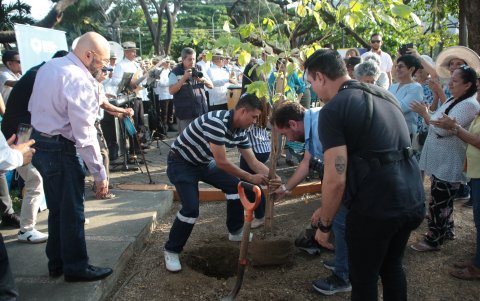 Durante la jornada se sembraron árboles con el fin de darle nueva vida y sombra al espacio.