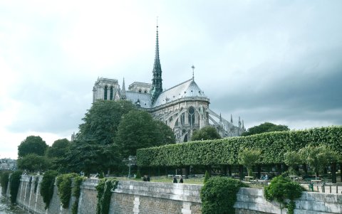 Imagen de la catedral de Notre Dame de París (Francia) en la realidad, con su vegetación actual.