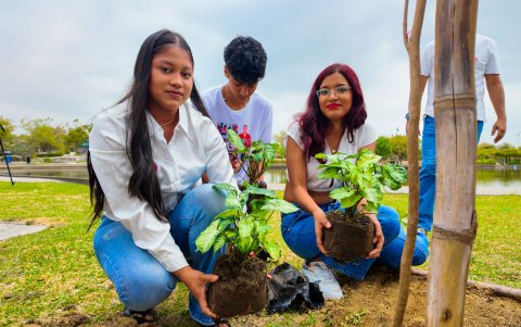 Durante el acto, las familias de las víctimas sembraron árboles de Guayacán.