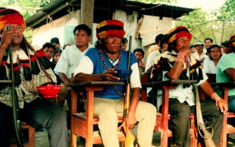 Son los encargados de orientar, asesorar y aportar iniciativas estratégicas.