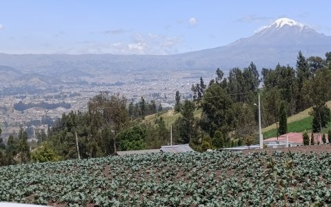 Este es un espacio donde las tradiciones locales encuentran puntos de encuentro con las prácticas de vida sostenible.
