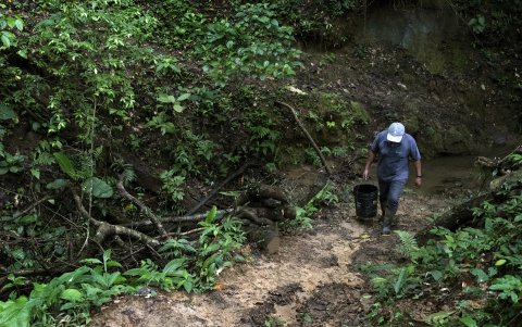 Nelson Martínez recorre el camino que antiguamente usaban para llevar agua a la comunidad Nairi Awari en Limón, Costa Rica.