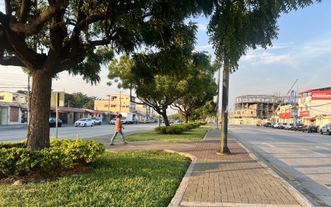 Árboles. El parterre goza de grandes árboles y de césped, poco arbusto. Al final de esta zona está el Área Nacional de Recreación Los Samanes o también conocido como Parque Samanes.