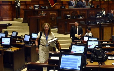 Ponente. Pierina Correa, presidenta de la Comisión de Protección Integral a Niñas, Niños y Adolescentes, cuestionó la poca importancia que le han dado a la normativa.
