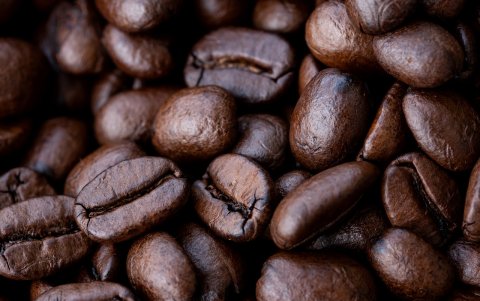 El cambio climático está golpeando los cultivos de café.