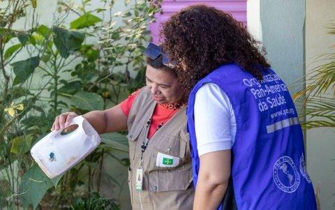 En nueve países de Latinoamérica se han presentado casos de oropouche.