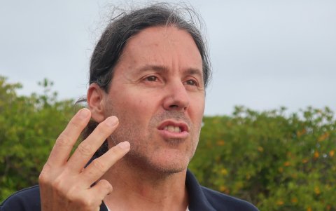 En el ecosistema de la RMG se han reportado unas 3.700 especies existentes, 25 % de las cuales son endémicas.