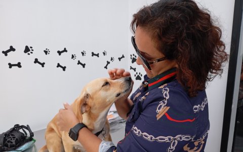 Un grupo de amigas amantes de los animales inició ‘Colitas Felices’
